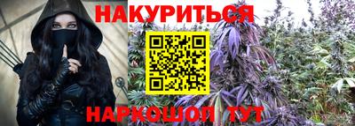 Альфа ПВП Дубна