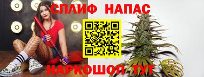 Альфа ПВП Дубна