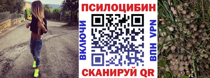 Псилоцибиновые грибы прущие грибы  Саки 
