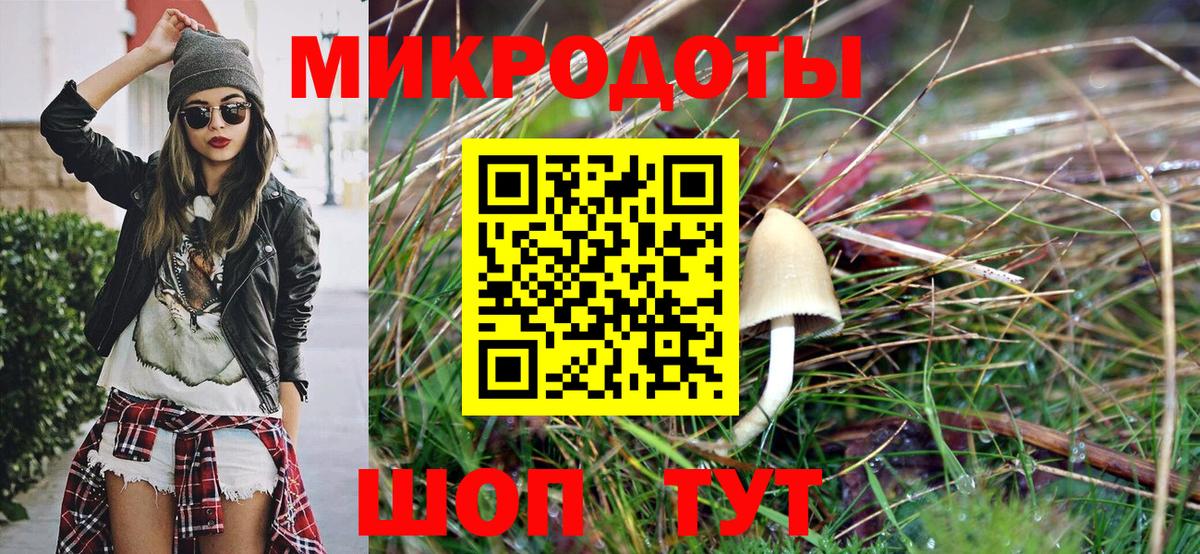 Галлюциногенные грибы мухоморы  Вход с VPN  Саки  Галлюциногенные грибы Cubensis 